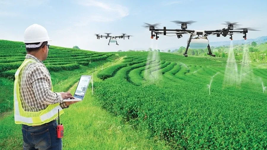 Dự đoán thời tiết và giá cả: "tiên tri" cho mùa vụ bội thu